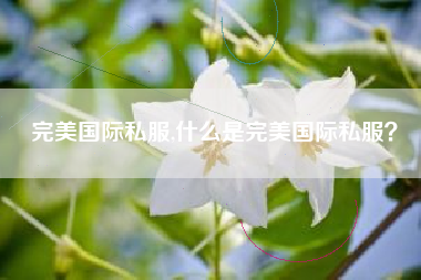 完美国际私服,什么是完美国际私服？