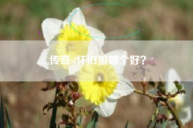 传奇sf怀旧服哪个好？