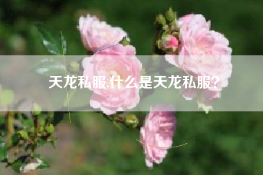 天龙私服,什么是天龙私服？