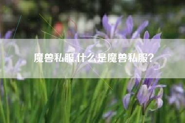 魔兽私服,什么是魔兽私服？