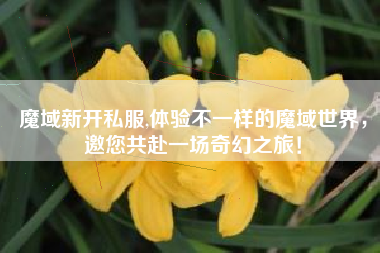 魔域新开私服,体验不一样的魔域世界，邀您共赴一场奇幻之旅！
