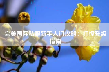 完美国际私服新手入门攻略：打怪升级指南