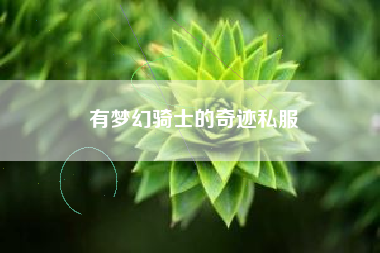 有梦幻骑士的奇迹私服
