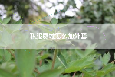 私服魔域怎么加外套