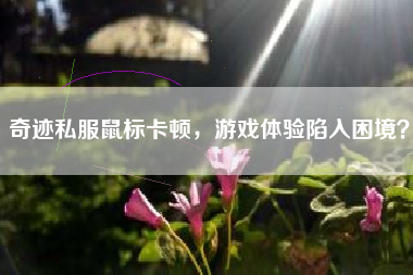奇迹私服鼠标卡顿，游戏体验陷入困境？