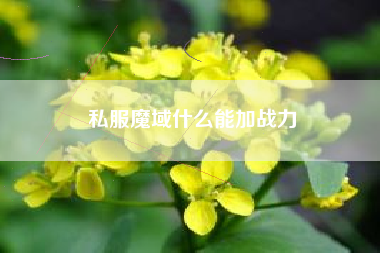 私服魔域什么能加战力