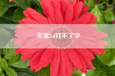 天堂2sf打不了字