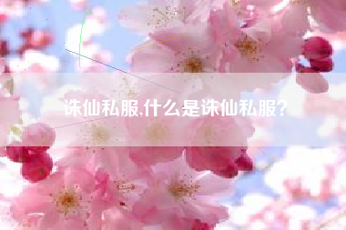 诛仙私服,什么是诛仙私服？