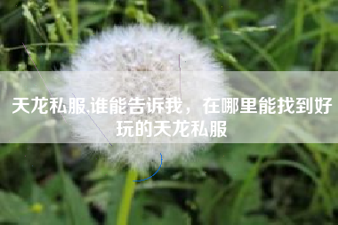 天龙私服,谁能告诉我，在哪里能找到好玩的天龙私服