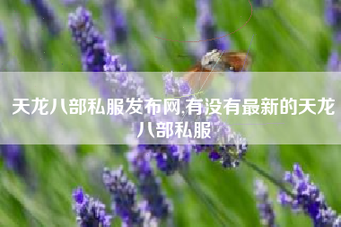 天龙八部私服发布网,有没有最新的天龙八部私服