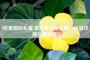 完美国际私服,求完美国际私服，以及详细安装步骤。