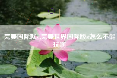 完美国际就sf,完美世界国际版sf怎么不能玩啊