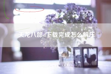 天龙八部sf下载完成怎么解压