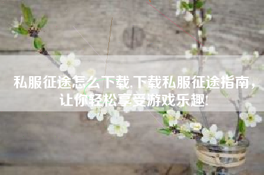 私服征途怎么下载,下载私服征途指南，让你轻松享受游戏乐趣!