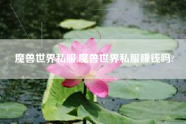 魔兽世界私服,魔兽世界私服赚钱吗?