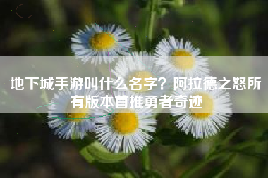 地下城手游叫什么名字？阿拉德之怒所有版本首推勇者奇迹