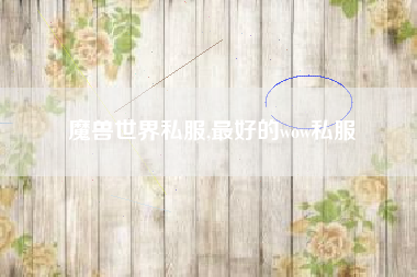 魔兽世界私服,最好的wow私服