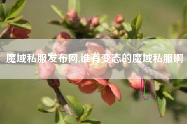 魔域私服发布网,谁有变态的魔域私服啊