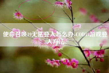 使命召唤19无法登入怎么办-COD19游戏登入方法