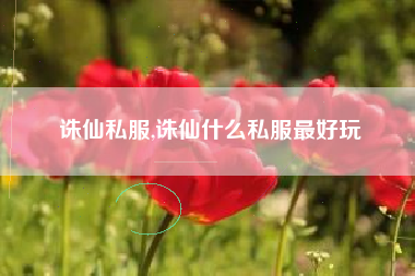 诛仙私服,诛仙什么私服最好玩