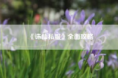 《诛仙私服》全面攻略