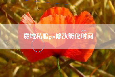 魔域私服gm修改孵化时间