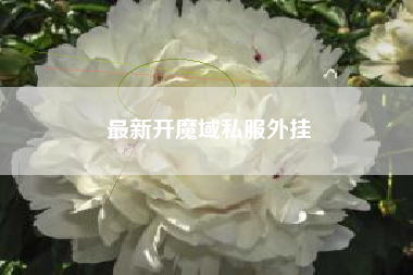 最新开魔域私服外挂