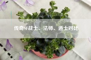 传奇SF战士、法师、道士对比
