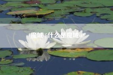 魔域sf,什么是魔域sf?