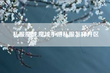 私服魔域,魔域手游私服怎样开区