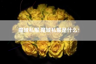 魔域私服,魔域私服是什么?