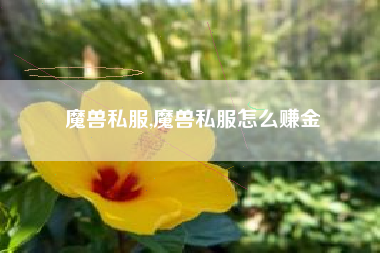 魔兽私服,魔兽私服怎么赚金