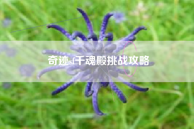 奇迹sf千魂殿挑战攻略