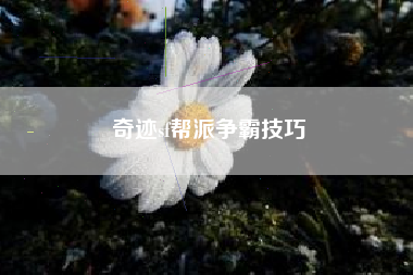 奇迹sf帮派争霸技巧