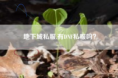 地下城私服,有DNF私服吗？