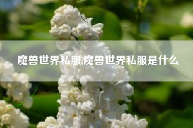 魔兽世界私服,魔兽世界私服是什么