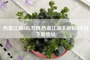 热血江湖sf私发网,热血江湖手游私sf平台下载地址