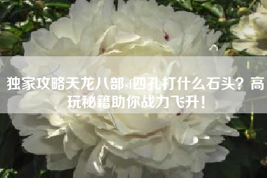 独家攻略天龙八部sf四孔打什么石头？高玩秘籍助你战力飞升！