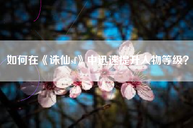 如何在《诛仙sf》中迅速提升人物等级？