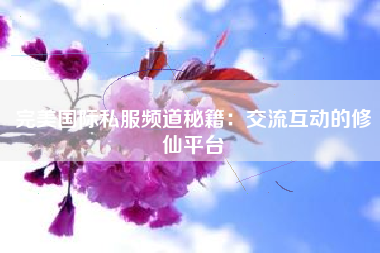 完美国际私服频道秘籍：交流互动的修仙平台