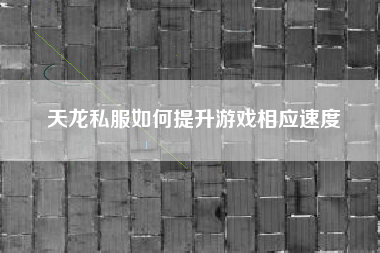 天龙私服如何提升游戏相应速度