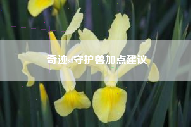 奇迹sf守护兽加点建议