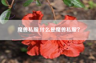 魔兽私服,什么是魔兽私服？