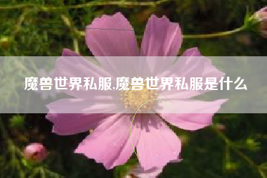 魔兽世界私服,魔兽世界私服是什么