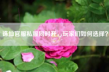 诛仙官服私服同时开，玩家们如何选择？
