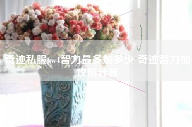 奇迹私服6w4智力最多加多少 奇迹智力加攻防计算