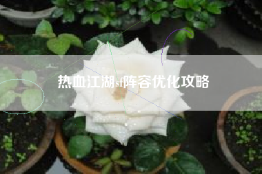 热血江湖sf阵容优化攻略