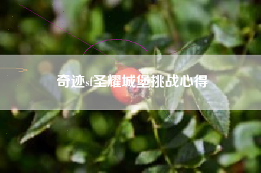 奇迹sf圣耀城堡挑战心得