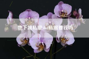 地下城私服,dnf私服要钱吗