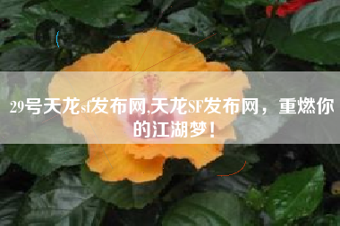 29号天龙sf发布网,天龙SF发布网，重燃你的江湖梦！